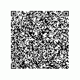 vCard 79833010299