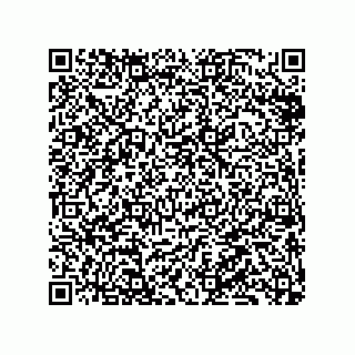 vCard 79833010313