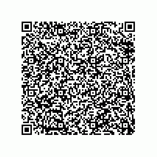 vCard 79833010384