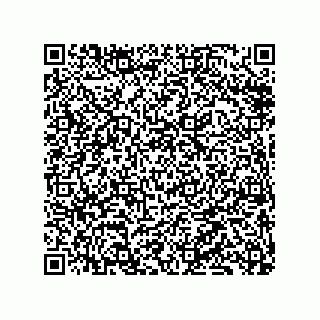 vCard 79833010387