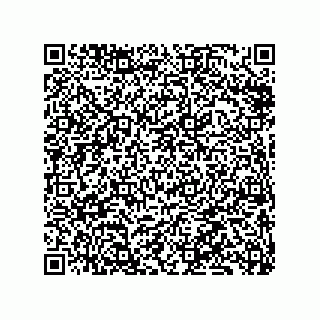 vCard 79833010399