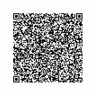 vCard 79833010409