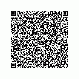 vCard 79833010538
