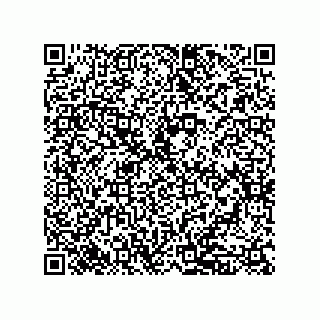 vCard 79833010713