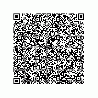 vCard 79833010771