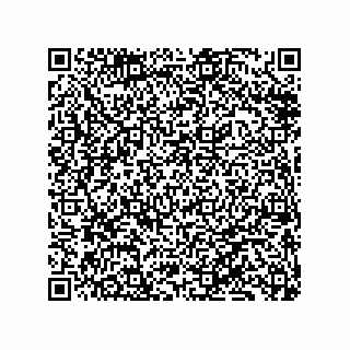 vCard 79833010881