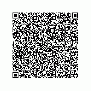 vCard 79833010885