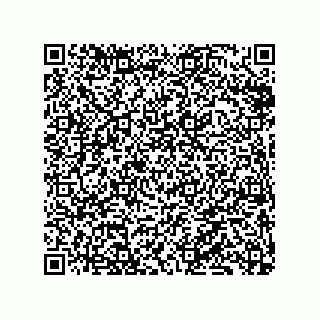 vCard 79833010913