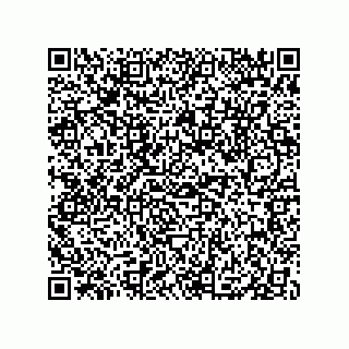 vCard 79833011006
