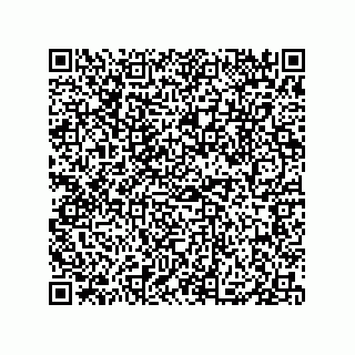 vCard 79833011025