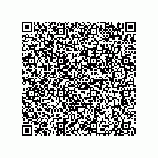 vCard 79833011047