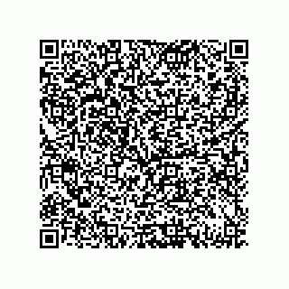vCard 79833011079