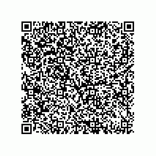 vCard 79833011313