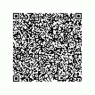 vCard 79833011381