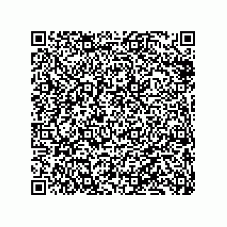 vCard 79833011999