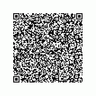 vCard 79833012738