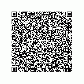 vCard 79833013200