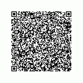 vCard 79833013201