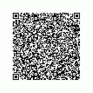 vCard 79833013203