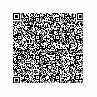 vCard 79833013205