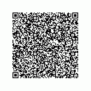 vCard 79833013207
