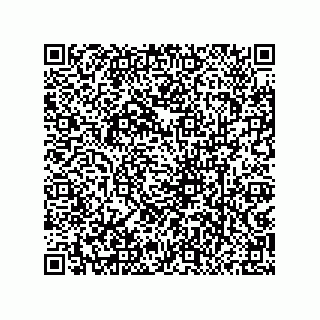 vCard 79833013221