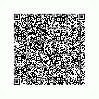 vCard 79833013245