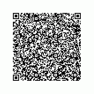 vCard 79833013281