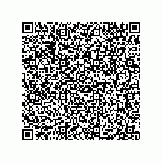 vCard 79833013335