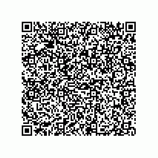 vCard 79833013373