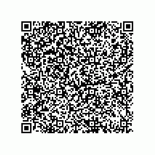 vCard 79833013381