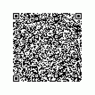 vCard 79833013382
