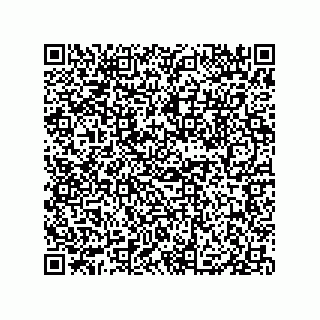 vCard 79833013383