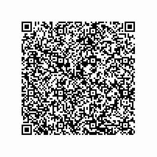 vCard 79833013387