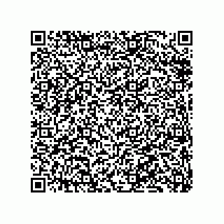 vCard 79833013389