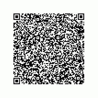 vCard 79833013401