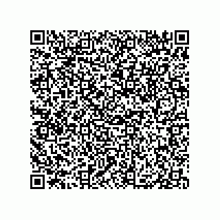 vCard 79833013480