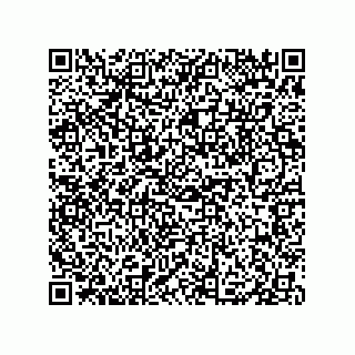 vCard 79833013507