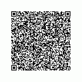 vCard 79833013529