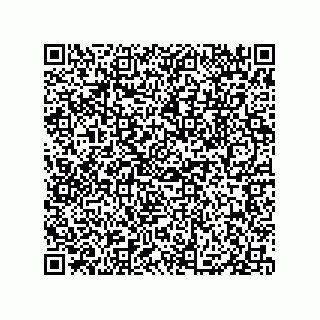 vCard 79833013535