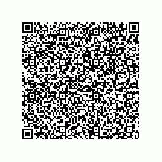 vCard 79833013538