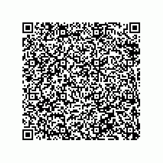 vCard 79833013540