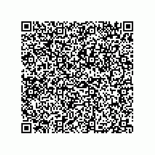 vCard 79833013601