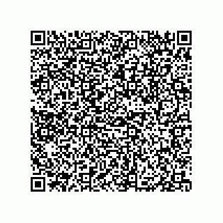 vCard 79833013631