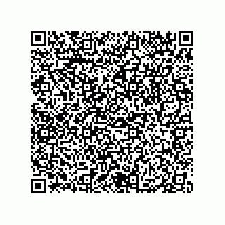 vCard 79833013704
