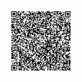 vCard 79833013718