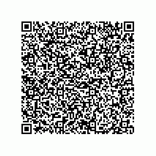 vCard 79833013725