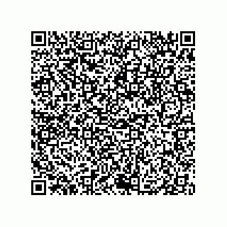 vCard 79833013728