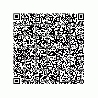 vCard 79833013729