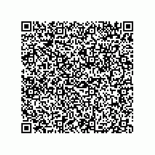 vCard 79833013740